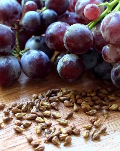 Glycomelt Grapefruit Seed Extract