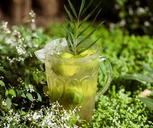 Glycomelt Green Tea Leaf Extract